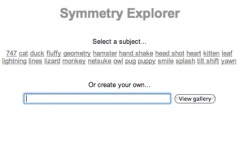 Symmetry Explorer