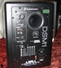 DSM1