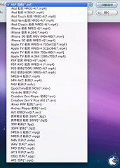 出力ファイル形式