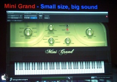 Mini Grand