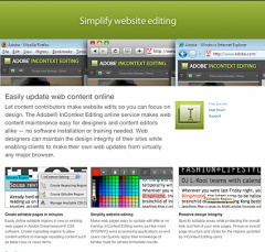 Adobe InContext Editing