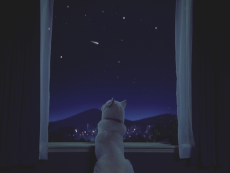 白戸家「夜空」篇