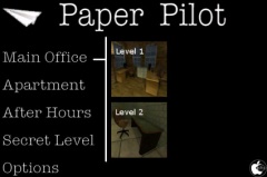 Paper Pilot