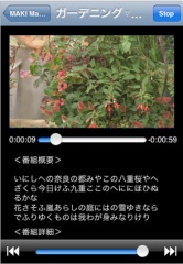 TVRemote