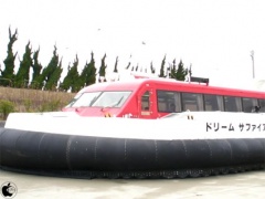 ドリームサファイア