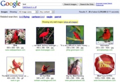 Google 画像検索
