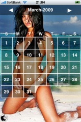 Swimsuit Calendar 2009