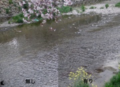 VCP-F01PL 静止画撮影比較