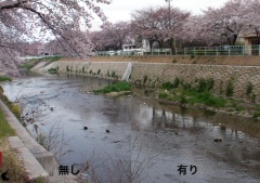 VCP-F01PL 動画撮影比較