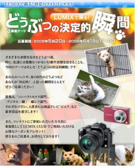 LUMIXで撮る！夏のフォトコンテスト