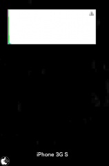 iPhone 3GS