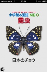 日本のチョウ｜図鑑NEO for iPhone