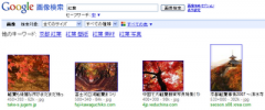 Google画像検索