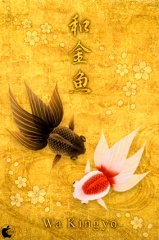 Wa Kingyo