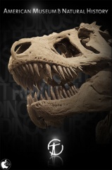 Dinosaurs: The American Museum of Natural History Collections