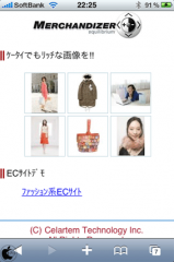 Equilibrium Merchandizer