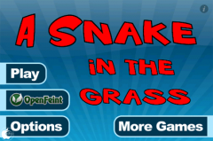 A Snake