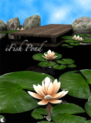 iFish Pond HD