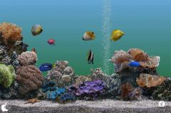 Marine Aquarium 2.6