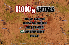 BloodnGuns