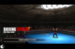 BOXING SPIRIT