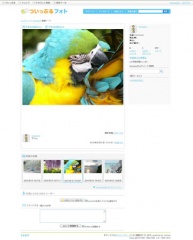 ついっぷるフォト