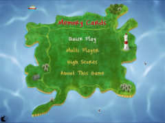 Memory Cards for iPad