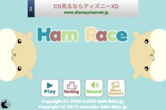 ハムレース