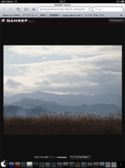 GANREF | ギャラリー