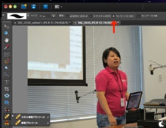 Adobe Photoshop Elements 9