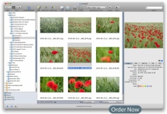 GraphicConverter 7