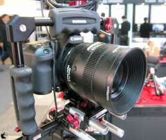 Kenji Suematsuシグネチャーシリーズ