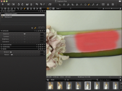 Capture One 6 Pro
