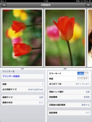 Print Utility for iOS