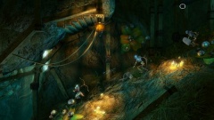 Trine