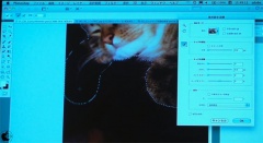 Adobe Photoshop CS5.1 日本語版