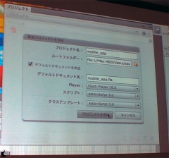Adobe Flash Professional CS5.5 日本語版