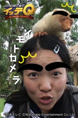 世界の果てまでイッテQ ！イモトカメラ