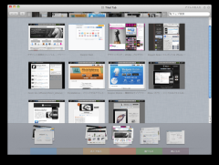 Sleipnir for Mac