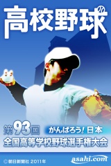 夏の高校野球2011