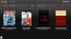 Kindle Cloud Reader