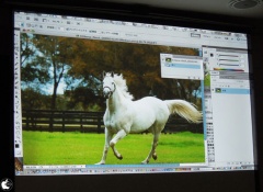 Adobe Photoshop CS5.1