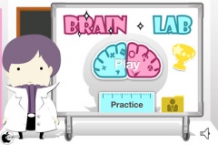 左右脳研究所 II