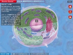 Newton International Edition