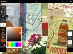 Adobe Collage
