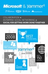 Microsoft/Yammer